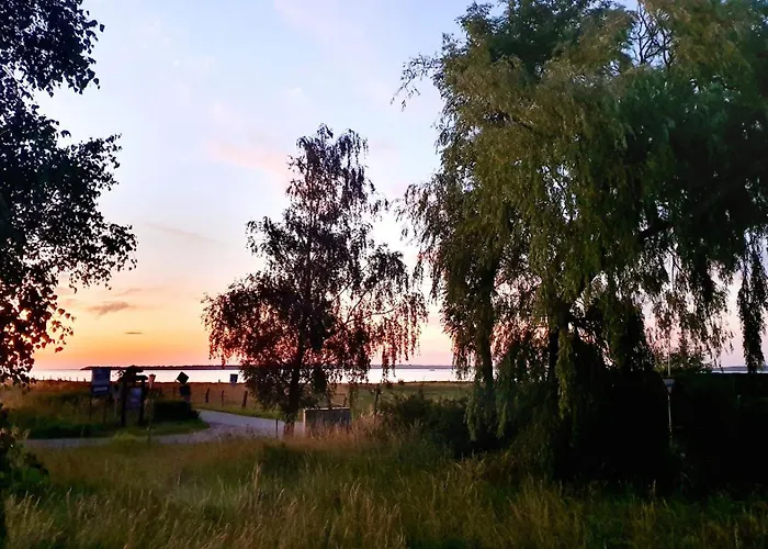 Werder -- Cozykoje -- Ostsee 150m I Sauna I Ekamin I Tiny House Mit Meerblick I 2 Pers Und Kind I By 